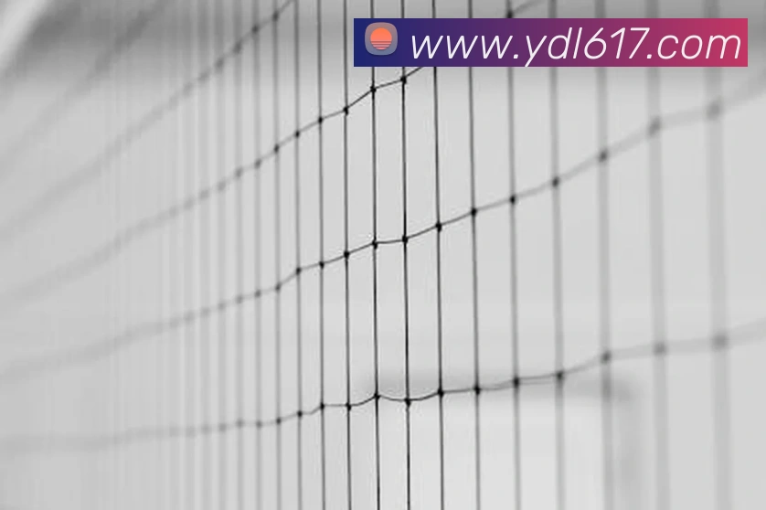 意大利贵宾会服务体系